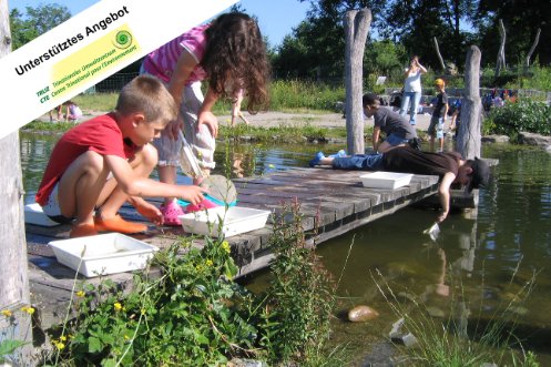 Kinder beim Untersuchen von Pflanzen und Tieren am Wasser