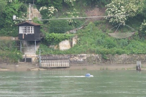 Fischereigalgen am Rhein