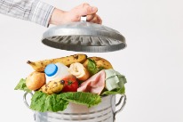 Dieses Bild führt Sie zum Thema Food Waste.